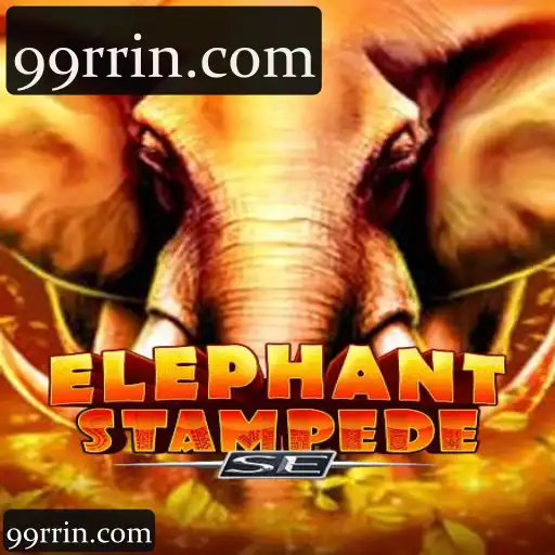 ElephantStampedeSE